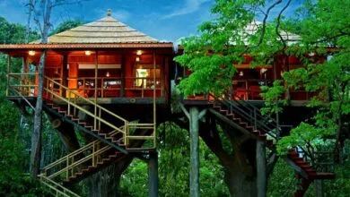 top 10 tourist places in kerala