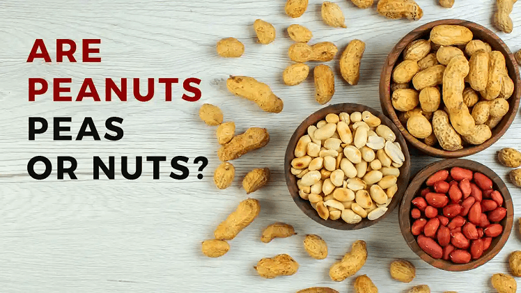 are peanuts peas or nuts?